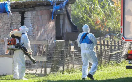 POTVRĐEN NOVI SLUČAJ AFRIČKE SVINJSKE KUGE, USMRTIT ĆE SE 62 ŽIVOTINJE NA IMANJU U IVANOVU