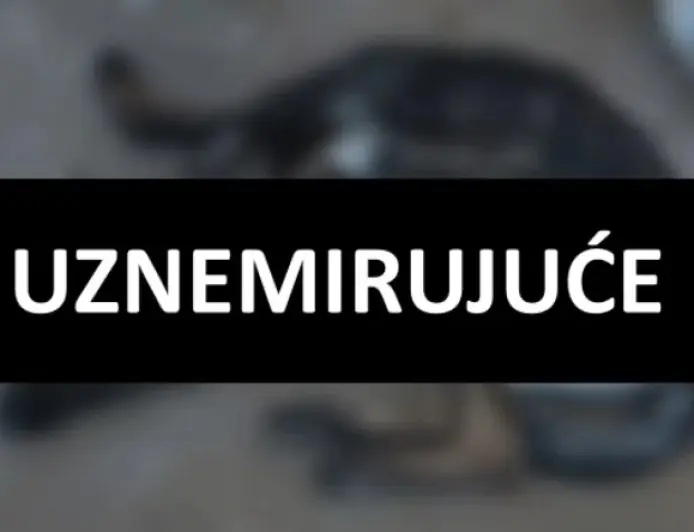 UŽAS U BALAMA: VATROGASAC MUČIO I IZGLADNJIVAO SVOJA DVA PSA DO SMRTI