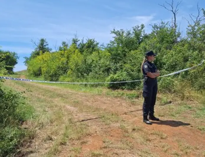 PILOT OPISAO KAKO JE PAO AVION: "NAPRAVIO JE SPIRALU I ZABIO SE U ZEMLJU"