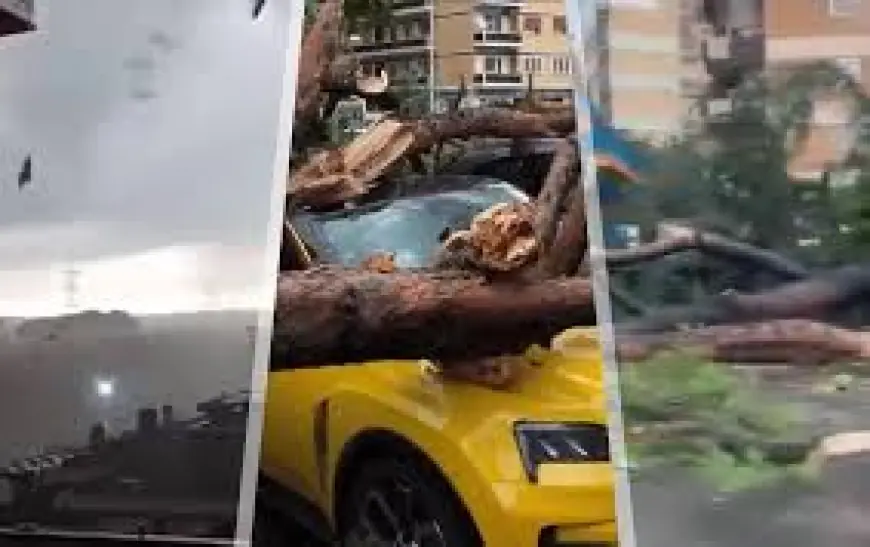 SNAŽAN TORNADO POGODIO RIM: VJETAR ČUPAO STABLA, KROVOVE...