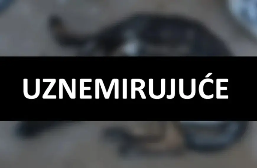 UŽAS U BALAMA: VATROGASAC MUČIO I IZGLADNJIVAO SVOJA DVA PSA DO SMRTI