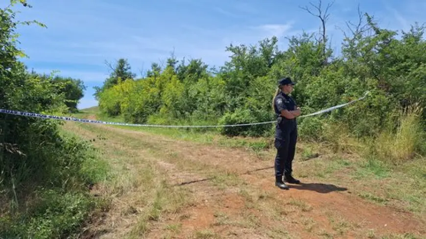 PILOT OPISAO KAKO JE PAO AVION: "NAPRAVIO JE SPIRALU I ZABIO SE U ZEMLJU"