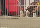 OTROVAN PLIN DANIMA SE ŠIRI U BLIZINI OBALE: "OVO JE JAKO OPASNA KONCENTRACIJA"