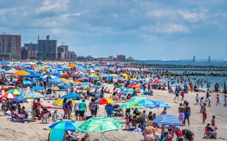 OZBILJNO UPOZORENJE UOČI NAJVAŽNIJEG PRAZNIKA: NA AMERIČKIM PLAŽAMA VREBA "BAKTERIJA KOJA JEDE MESO"