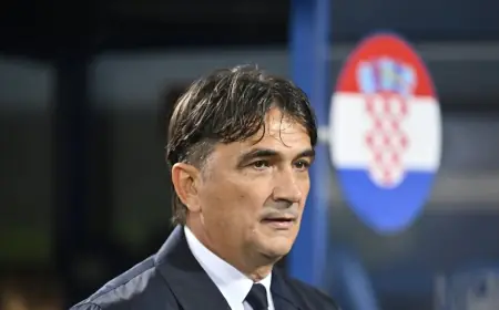 OTKRIVENO KOGA JE DALIĆ PREDLOŽIO ZA SVOG NASLJEDNIKA, HNS SE ODLUČIO ZA DRUGU OPCIJU