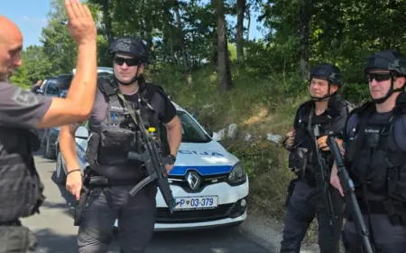 SLOVENSKA POLICIJA OBJAVILA DETALJE DRAMATIČNE POTJERE ZA SRĐANOM ALEKSIĆEM
