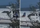 PAS BAČEN S POLICIJSKOG BRODA. SVJEDOK. PLIVAO JE ZA NJIMA, MI SMO GA SPASILI