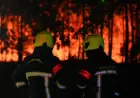 STOTINE EVAKUIRANIH U VALENCIJI ZOG ŠUMSKOG POŽARA