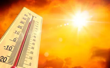 NEMA PREDAHA: TOPLINSKA KUPOLA DONOSI TEMPERATURE IZNAD 40, BALKAN OČEKUJE VRHUNAC VRUĆINE