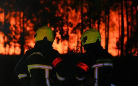STOTINE EVAKUIRANIH U VALENCIJI ZOG ŠUMSKOG POŽARA