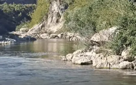 UŽASAN PRIZOR: "NERETVOM JE POLA SATA TEKLA KRV"