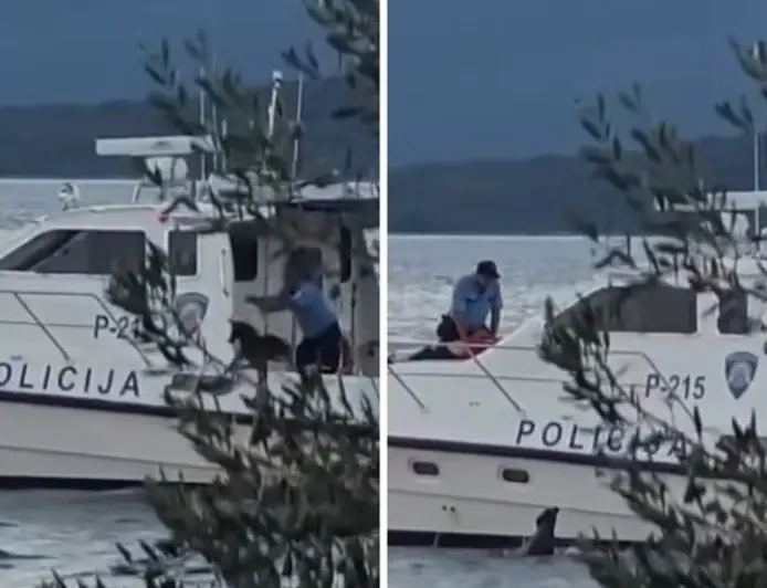 PAS BAČEN S POLICIJSKOG BRODA. SVJEDOK. PLIVAO JE ZA NJIMA, MI SMO GA SPASILI
