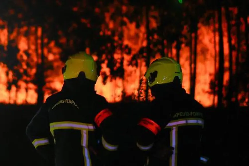 STOTINE EVAKUIRANIH U VALENCIJI ZOG ŠUMSKOG POŽARA