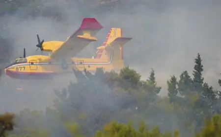 LOKALIZIRAN POŽAR NA PODRUČJU SLIVNA, OPOŽARENO 145 HEKTARA