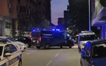 CURE DETALJI UŽASA: MLADIĆ POLICAJCIMA OTVORIO VRATA PA PRIZNAO - "UBIO SAM MAJKU"