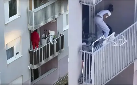LJUDI SE POPELI NA BALKON I SPASILI ZLOSTAVLJANOG PSA, A ZLOSTAVLJAČA ČEKA ŠOK: "LETI S POSLA!"